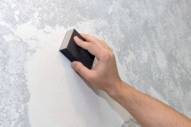 Best Black Mold Removal  in Grapeland, TX