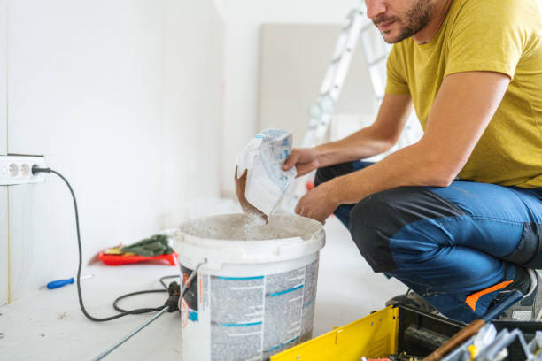 Best Mold Prevention Services  in Grapeland, TX