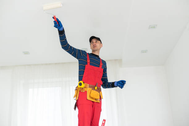 Best Mold Damage Restoration  in Grapeland, TX