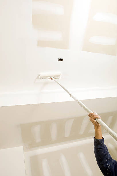 Best Biohazard Mold Removal  in Grapeland, TX
