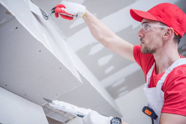 Professional Mold Removal in Grapeland, TX