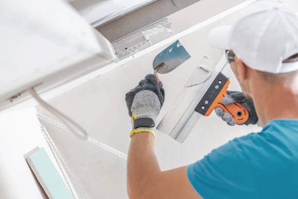 Best Basement Mold Removal  in Grapeland, TX